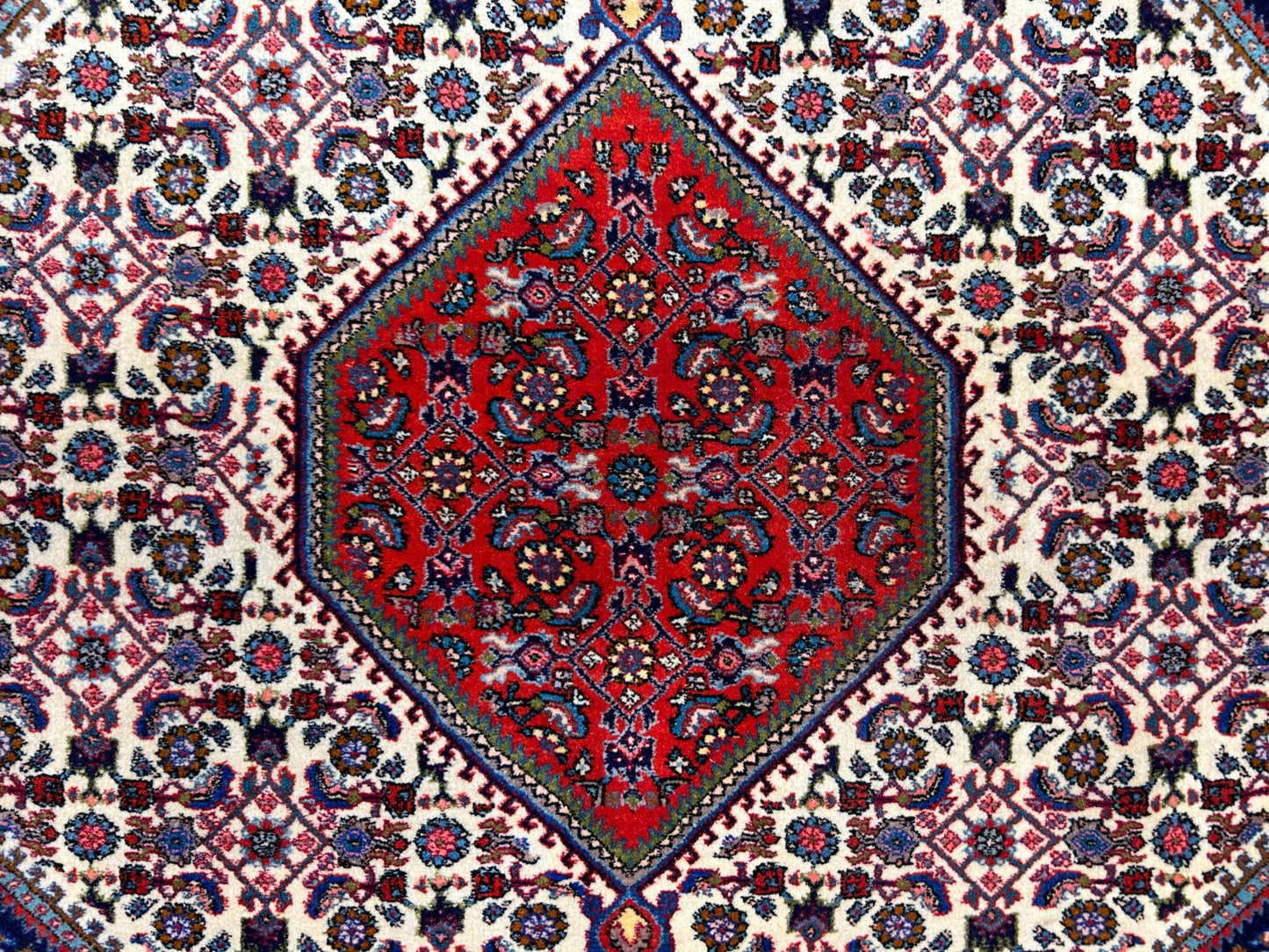 3'9"x5'5" Hand-Knotted 100% Wool Pile Bijare Rug