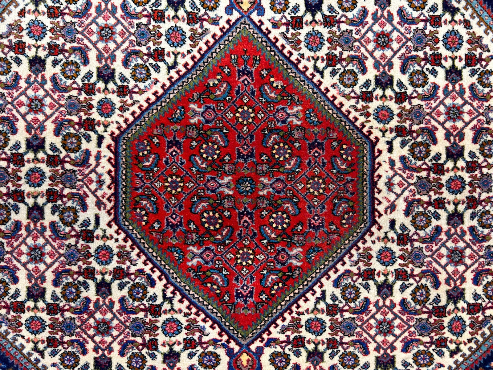 3'9"x5'5" Hand-Knotted 100% Wool Pile Bijare Rug
