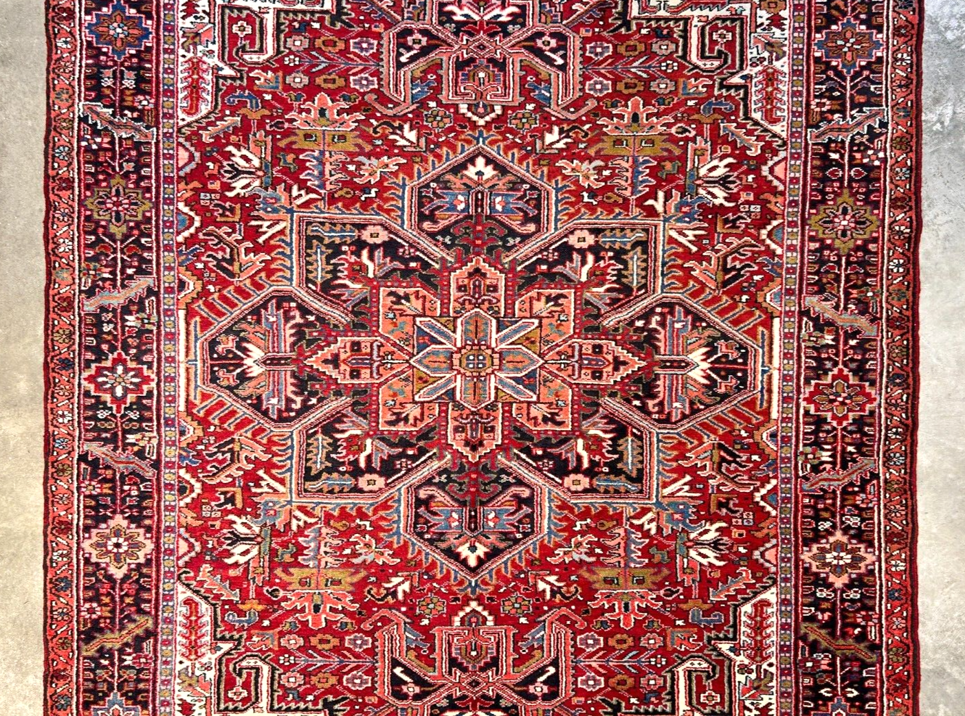 7'10"x11'4" Hand-Knotted 100% Wool Pile Herize Rug