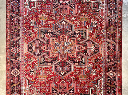 7'10"x11'4" Hand-Knotted 100% Wool Pile Herize Rug