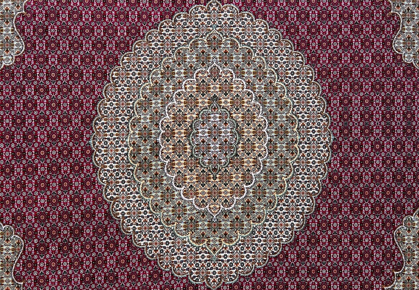 8'2"x11'6" Fine Hand-Knotted Wool & Silk Oriental Rug - Area Carpet