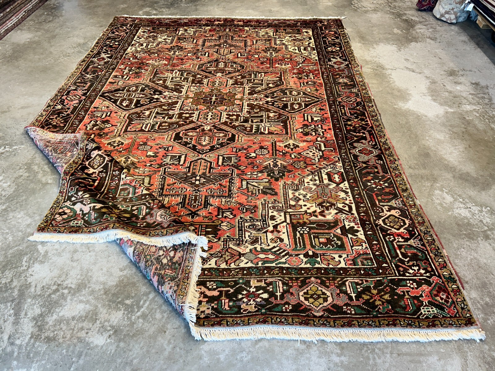 8'5"x11'10" Hand-Knotted 100% Wool Pile Herize Rug