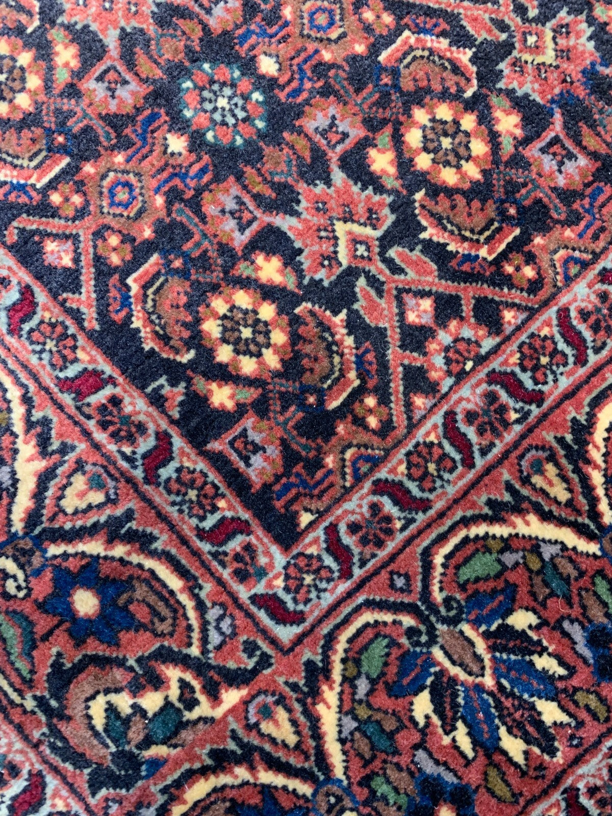 3'8"x6'1" Hand-Knotted 100% Wool Pile Bijare Carpet - Area Rug