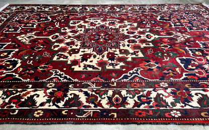6'8"x9'9" Hand-Knotted 100% Wool Pile Bakhtiarie Carpet - Area Rug
