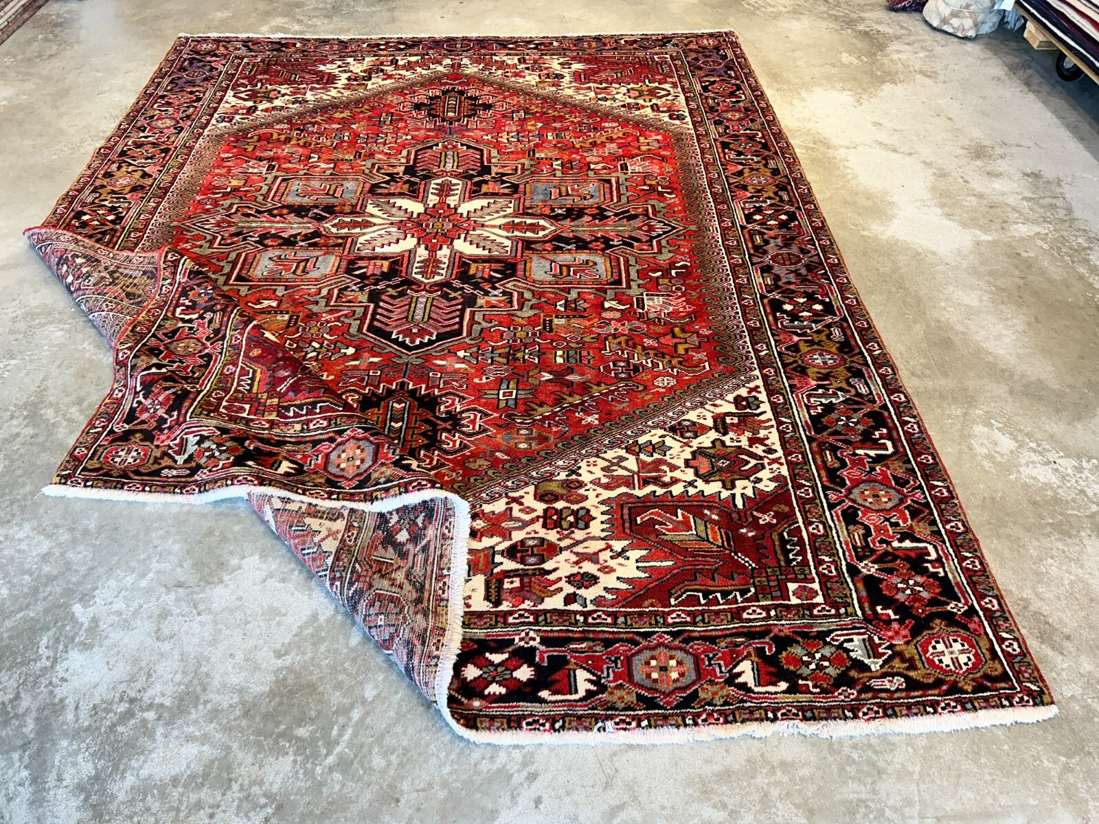 9'x11'5" Hand-Knotted 100% Wool Pile Herize Rug
