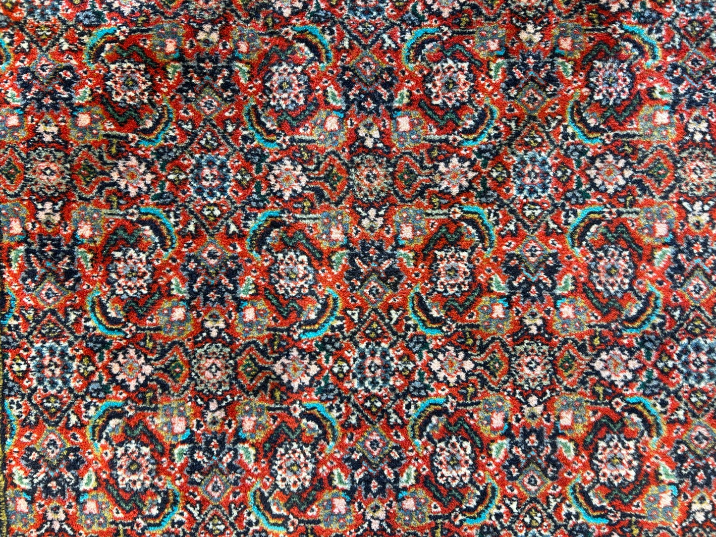 2'11"x11'6" Hand-Knotted 100% Wool Pile Sarabi Runner