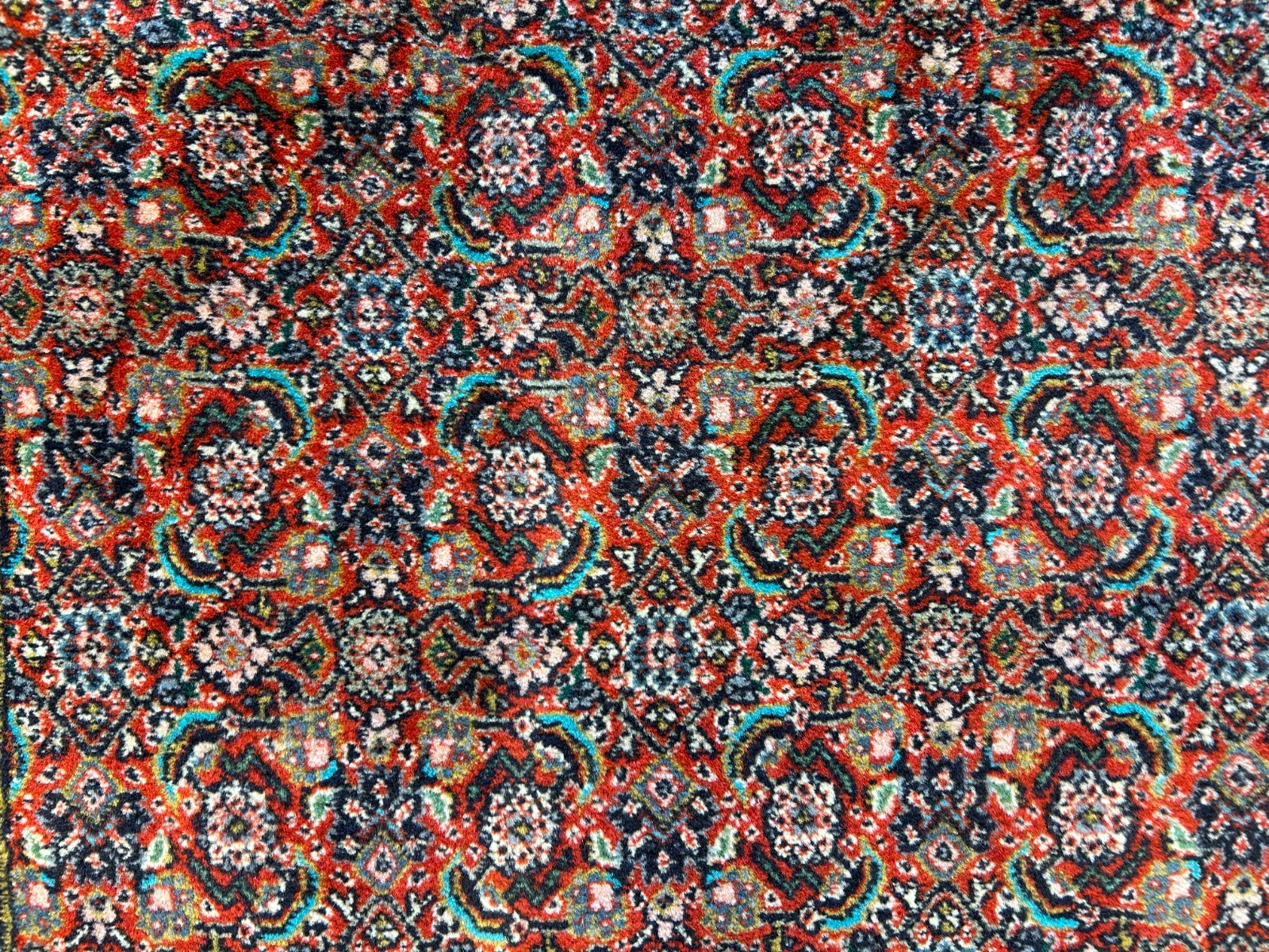2'11"x11'6" Hand-Knotted 100% Wool Pile Sarabi Runner