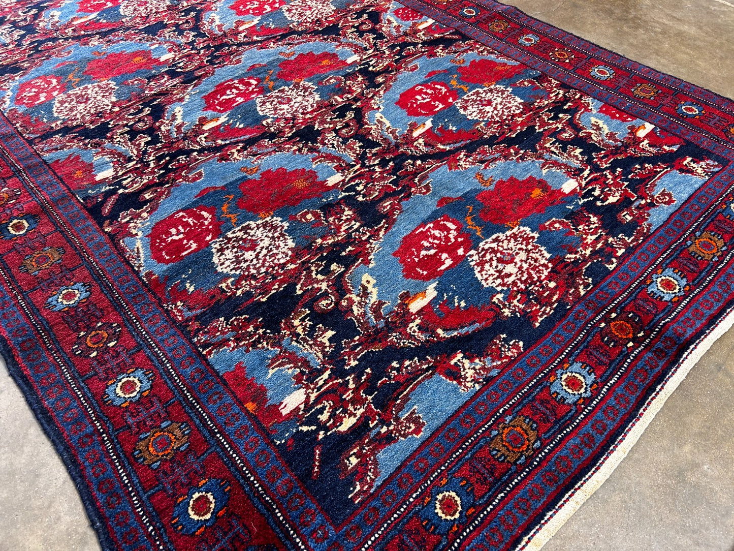 4'9" x 10'0'' Hand-Knotted 100% Lamb Wool Pile Sennehe Area Rug - Carpet