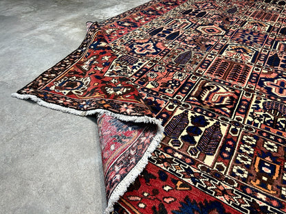 6'5"x9'8" Hand-Knotted 100% Lamb Wool Bakhtiarie Carpet - Area Rug