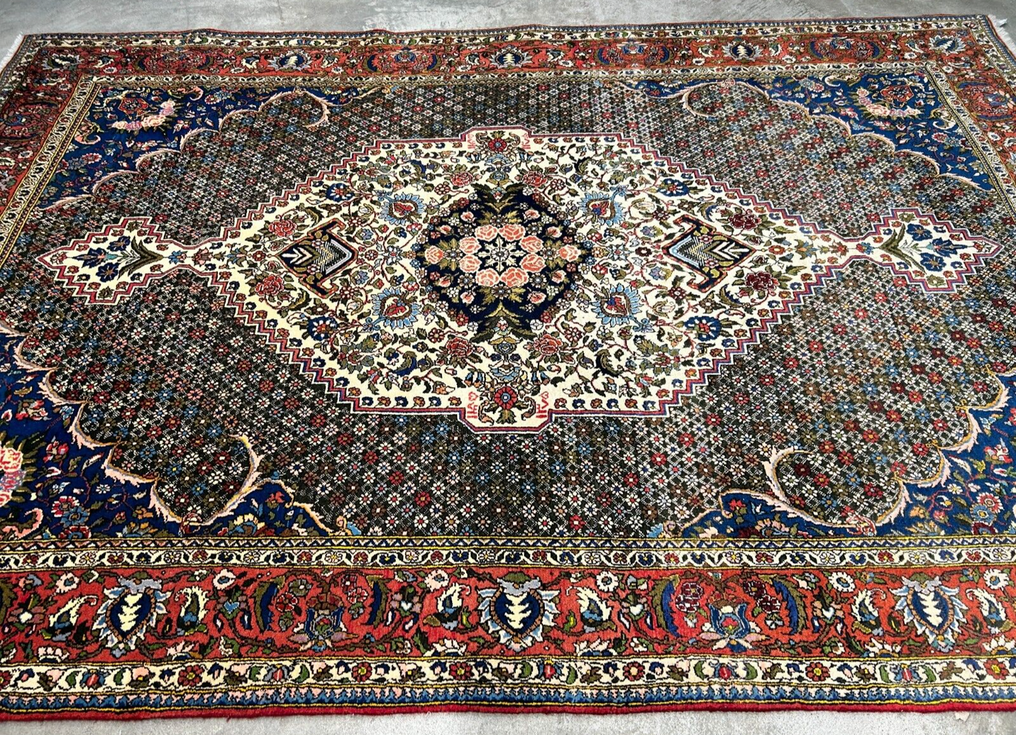 6'7"x9'9" Hand-Knotted 100% Wool Pile Bakhtiarie Carpet - Area Rug