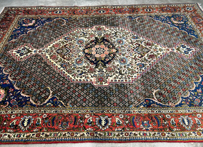 6'7"x9'9" Hand-Knotted 100% Wool Pile Bakhtiarie Carpet - Area Rug