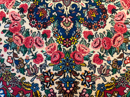 8'4"x11'11" Hand-Knotted 100% Wool Pile Bakhtiarie Rug