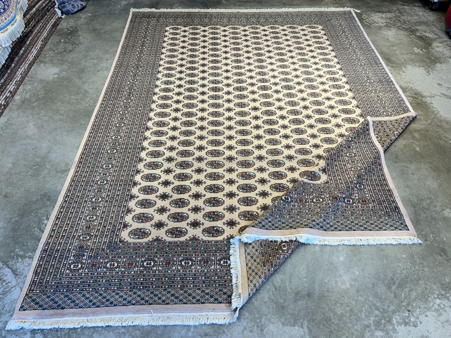 9'3"x12'6" Hand-Knotted 100% Wool Pile Bokhara Rug