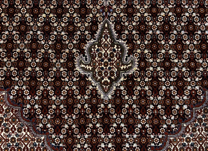 8'4"x11'3" Fine Hand-Knotted Wool & Silk Oriental Rug - Area Carpet