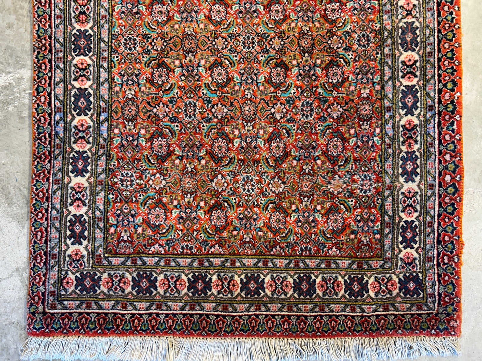 2'11"x11'6" Hand-Knotted 100% Wool Pile Sarabi Runner