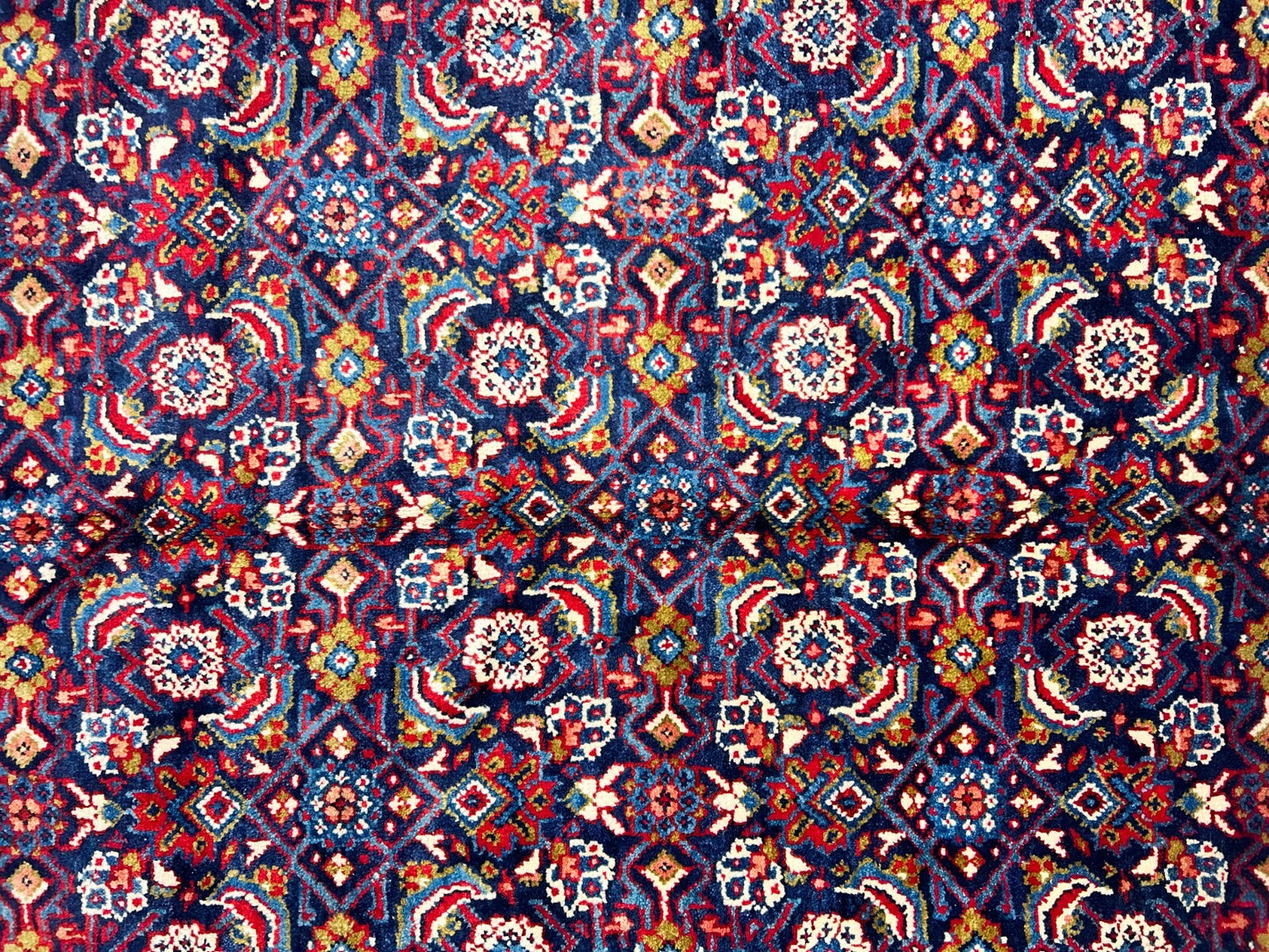 10'5"x14' Hand-Knotted 100% Wool Pile All-over Herati Rug