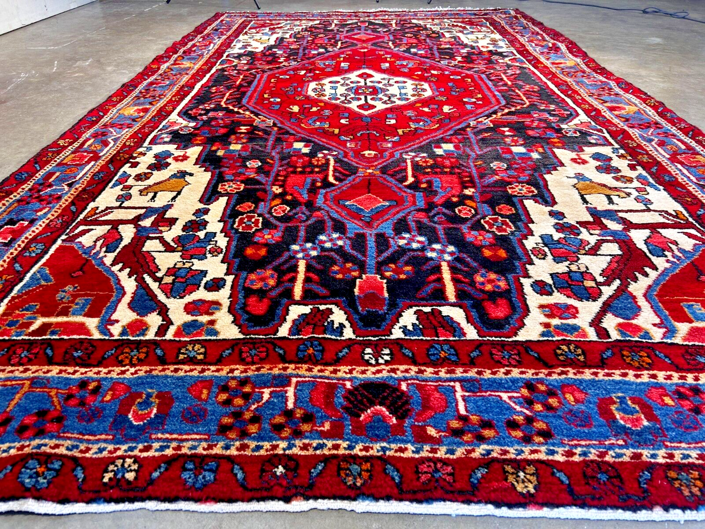 5'4" x 9'5" Hand-Knotted 100% Wool Carpet - Hamadane Area Rug