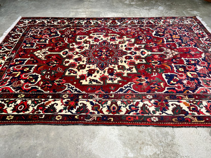 6'8"x9'9" Hand-Knotted 100% Wool Pile Bakhtiarie Carpet - Area Rug
