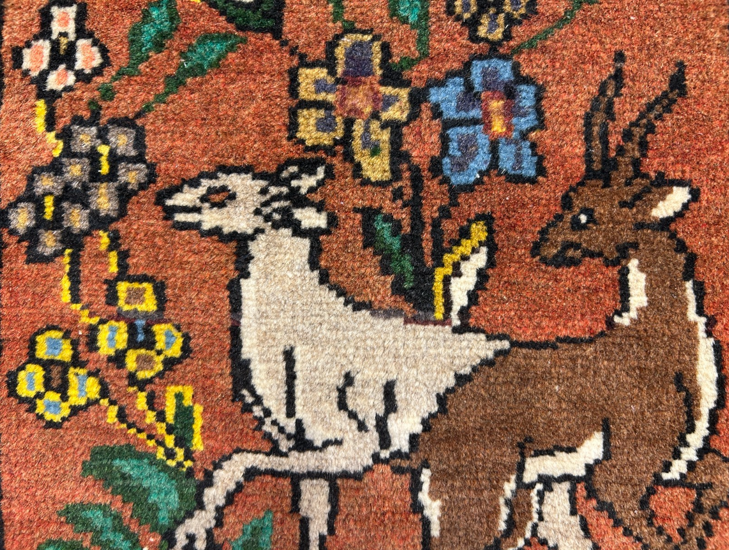 3'5"x5'2" Hand-Knotted 100% Wool Pile Bakhtiarie Area Rug - Carpet