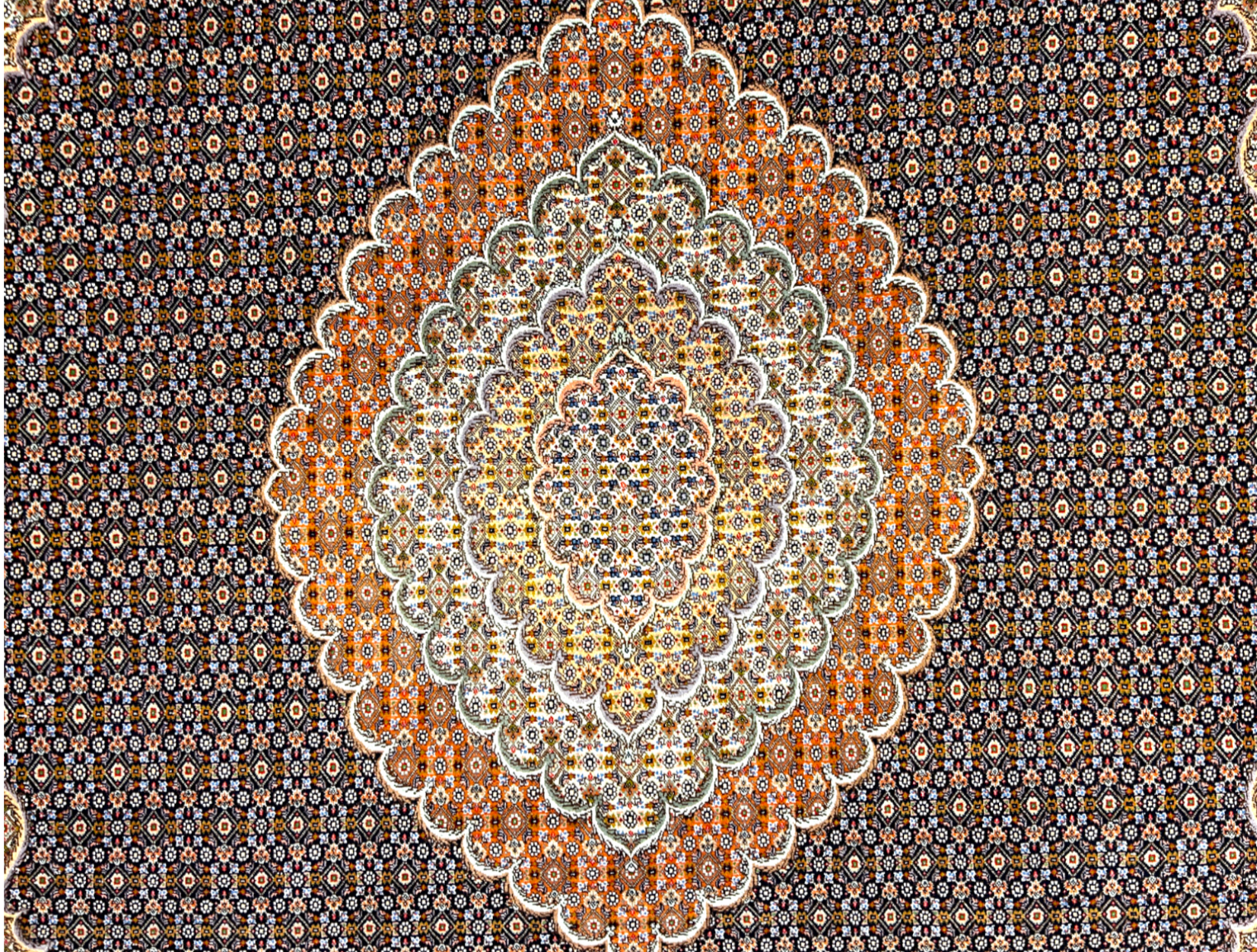 8'4"x11'6" Fine Hand-Knotted Wool & Silk Oriental Rug - Area Carpet