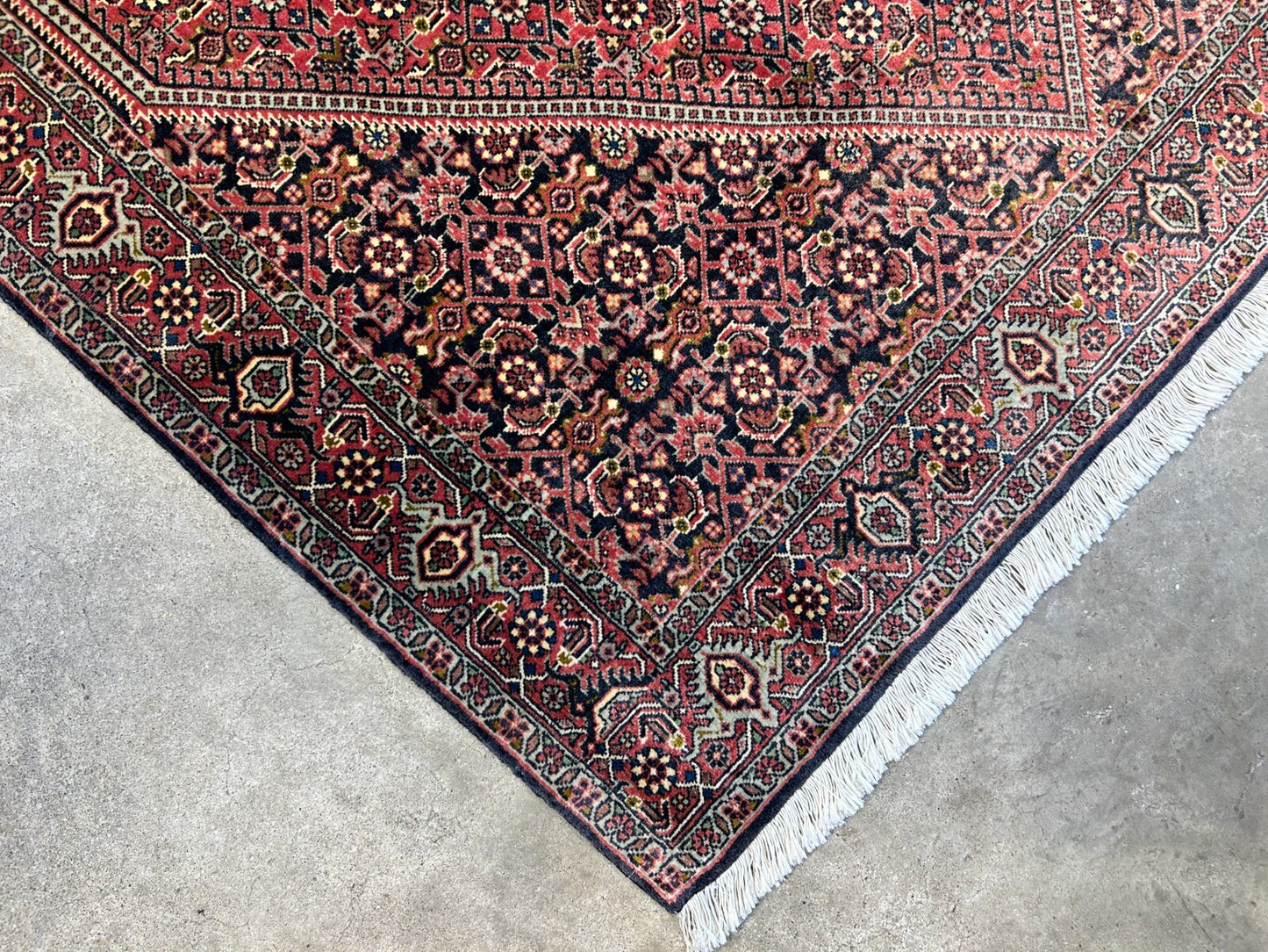 3'8"x5'10" Hand-Knotted 100% Wool Bidjare Carpet - Area Rug
