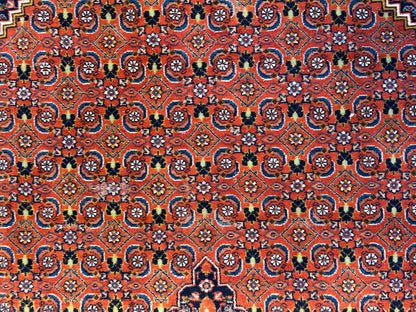 8'6"x12' Hand-Knotted 100% Wool Pile IndoBijar Rug