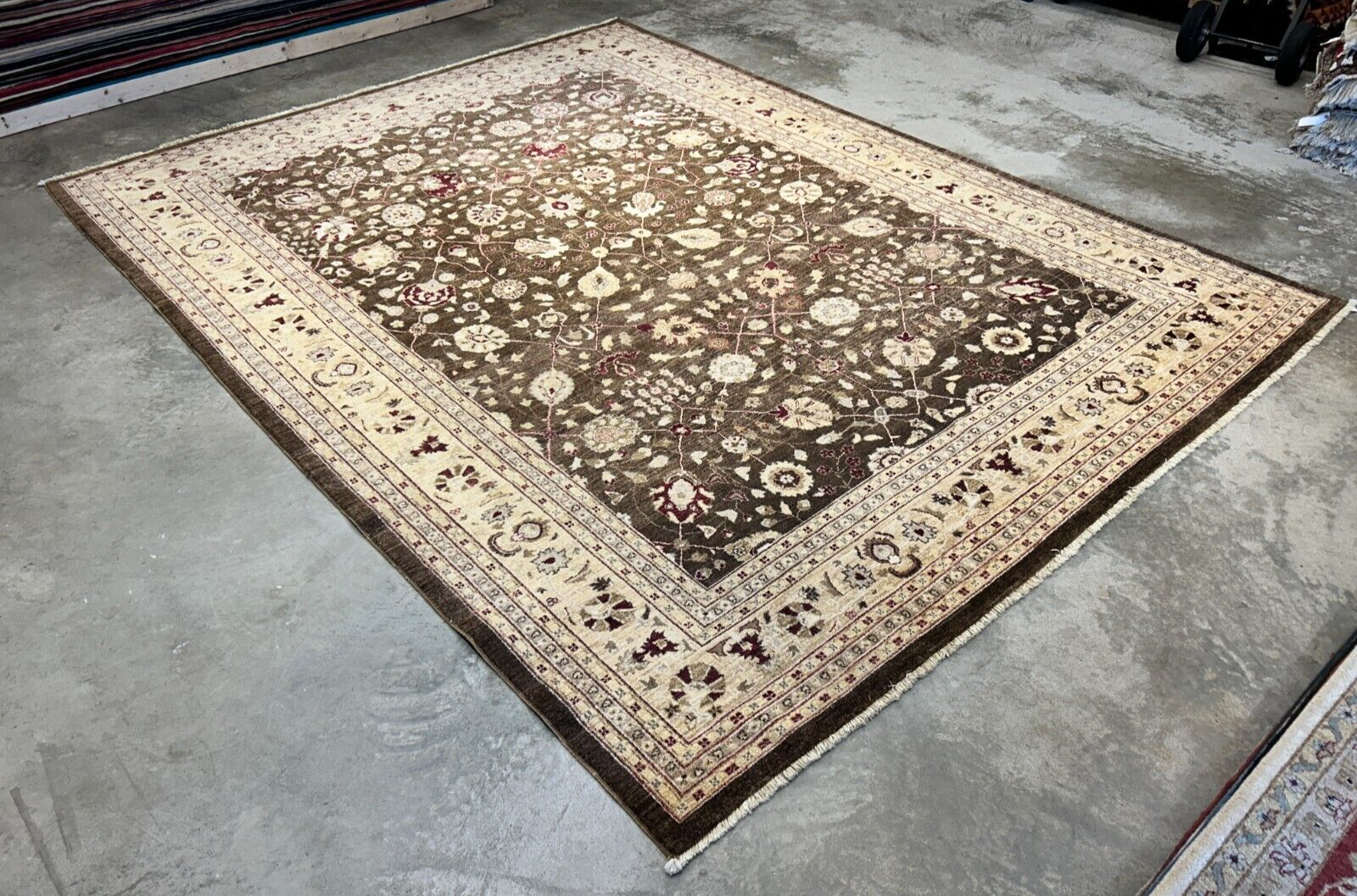 9'3"x12' Hand-Knotted 100% Wool Pile Agra Design Carpet - Area Rug