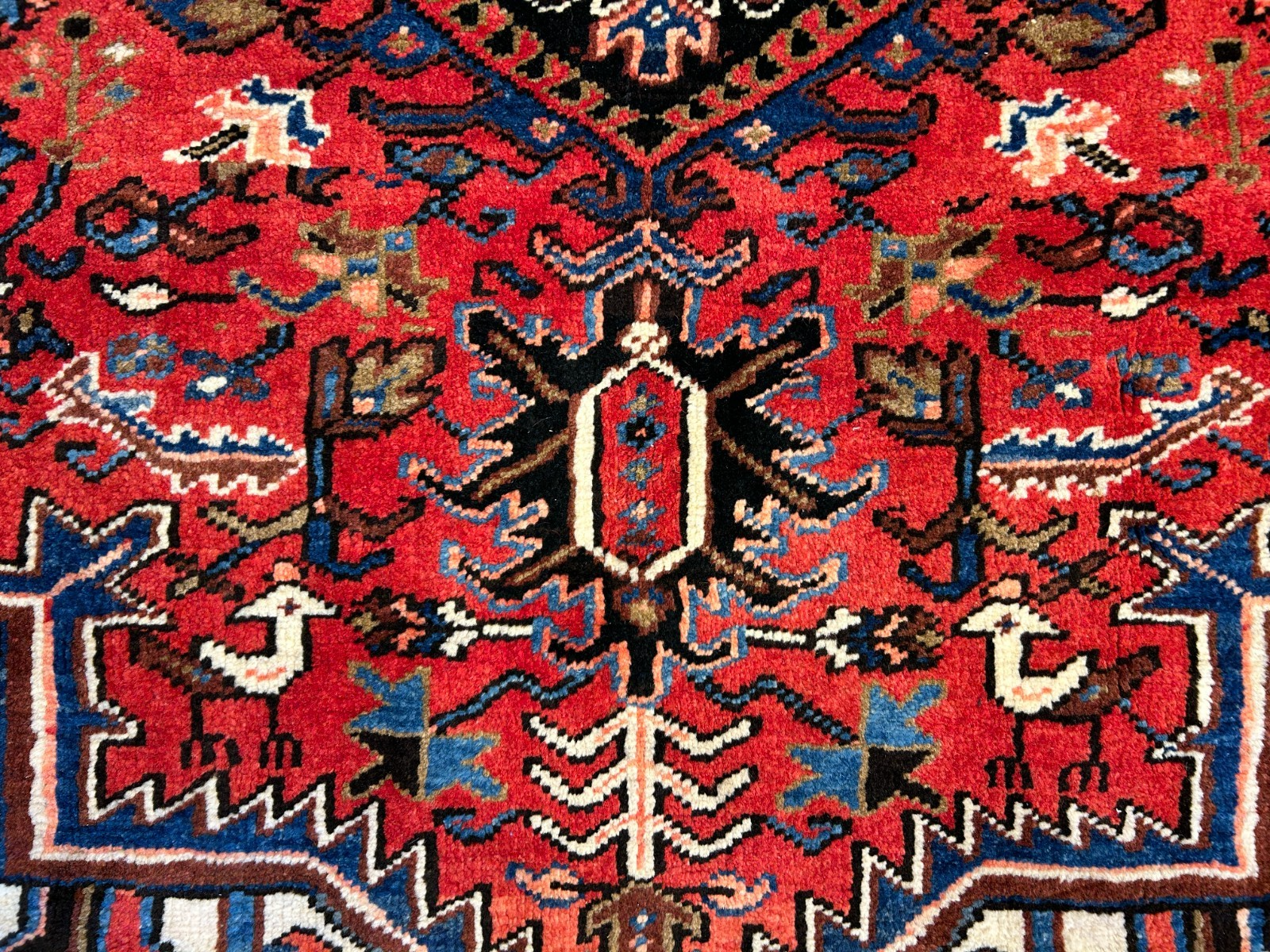 8'2"x11'1" Hand-Knotted 100% Wool Pile Herize Rug