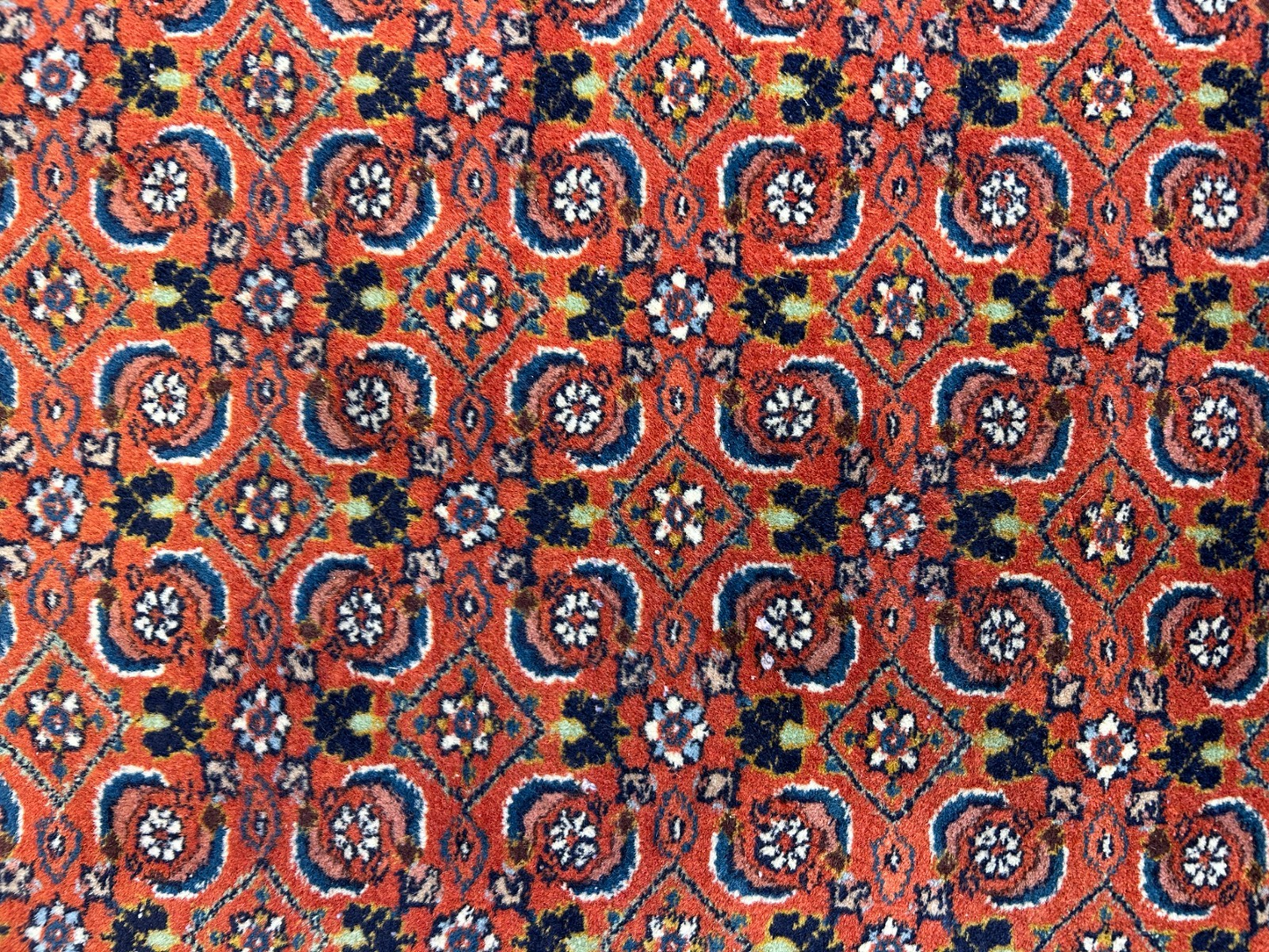 8'6"x12' Hand-Knotted 100% Wool Pile IndoBijar Rug