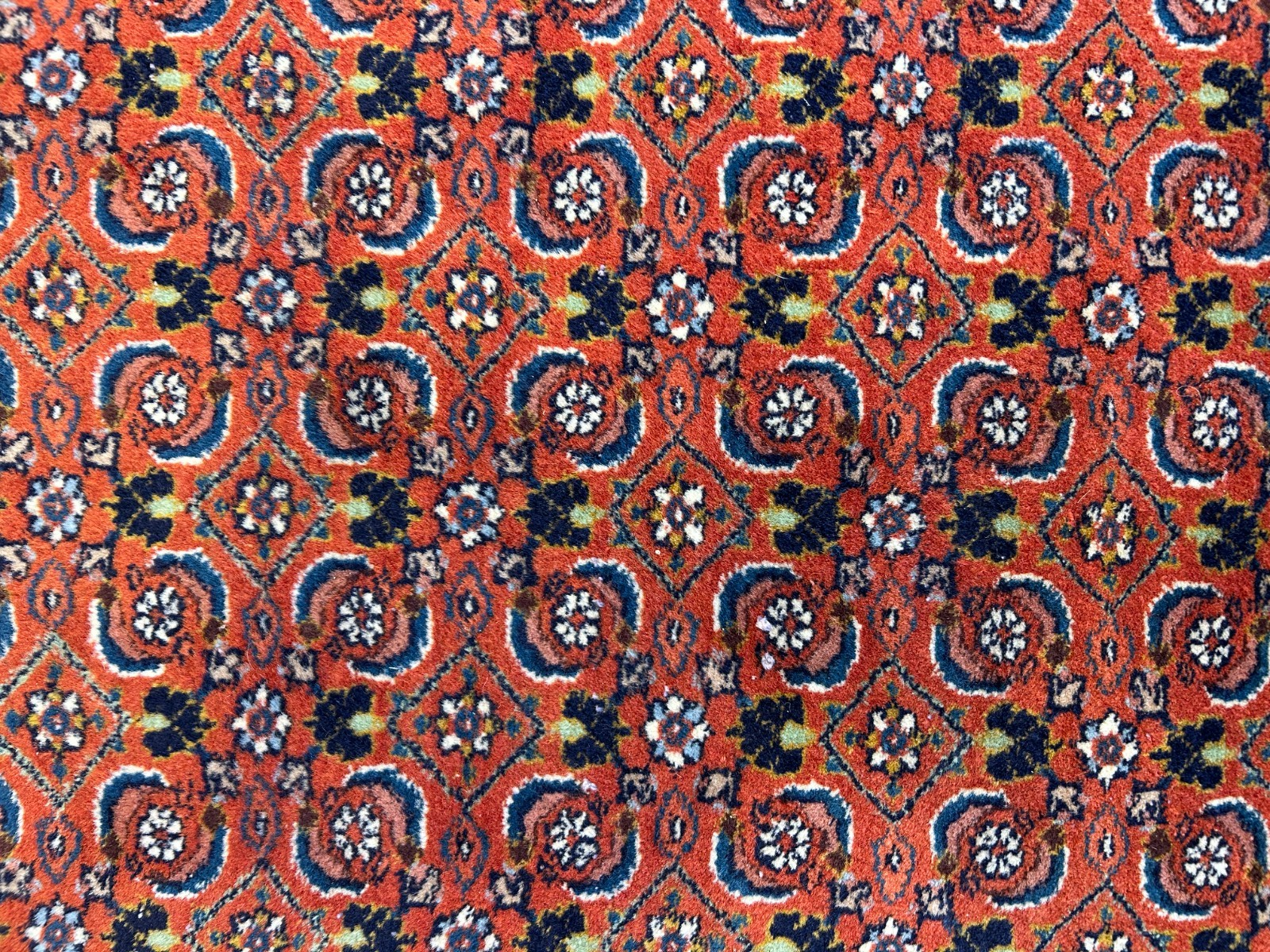 8'6"x12' Hand-Knotted 100% Wool Pile IndoBijar Rug