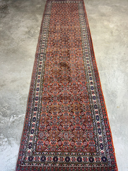 2'11"x11'6" Hand-Knotted 100% Wool Pile Sarabi Runner