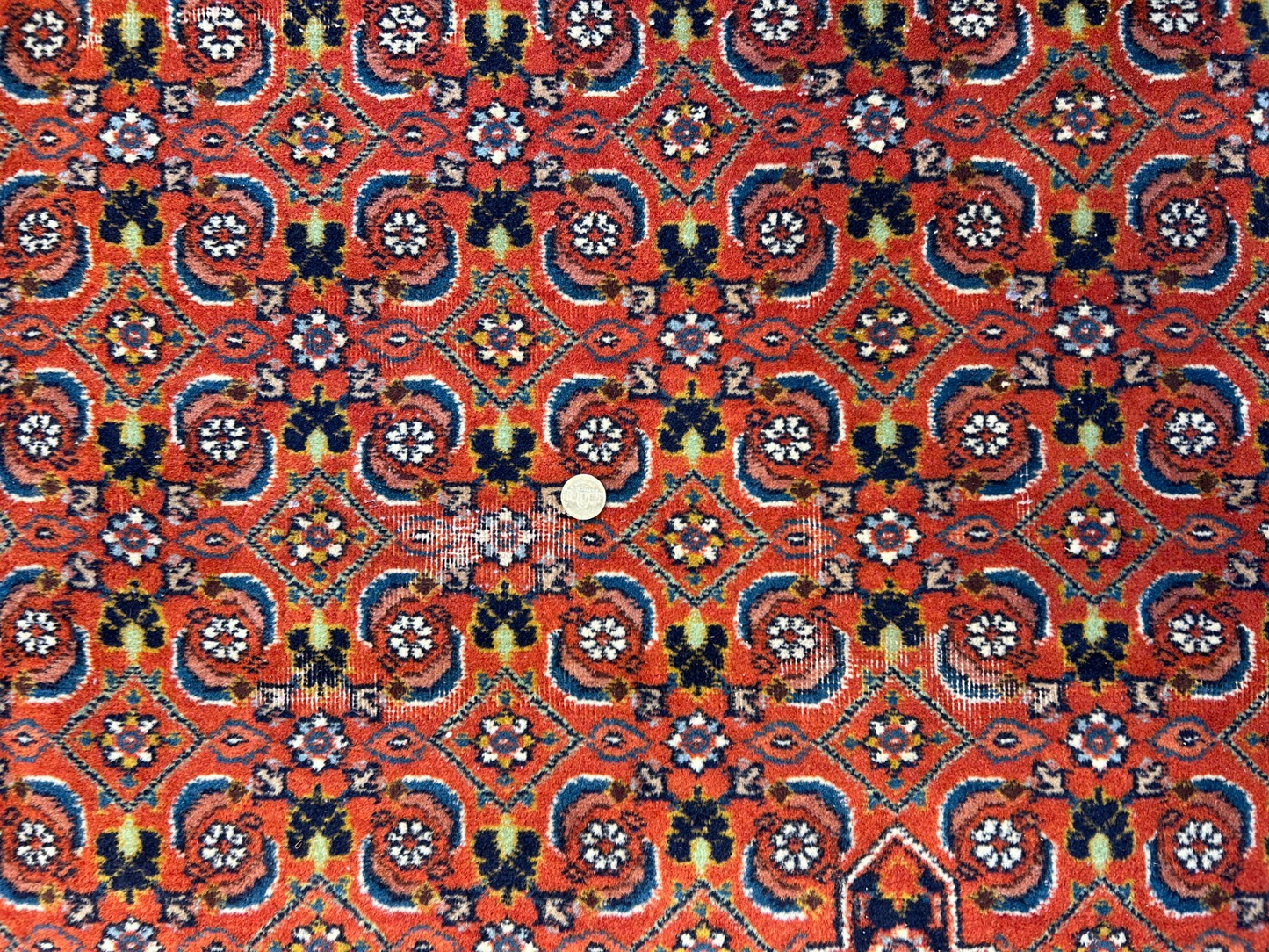 8'6"x12' Hand-Knotted 100% Wool Pile IndoBijar Rug