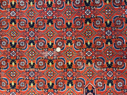 8'6"x12' Hand-Knotted 100% Wool Pile IndoBijar Rug