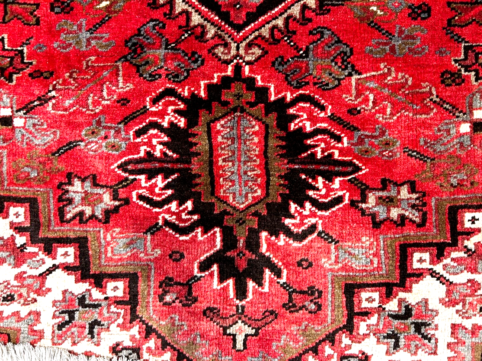 8'3" x 11'0" Hand-Knotted 100% Wool Pile Herize Area Rug - Area Carpet