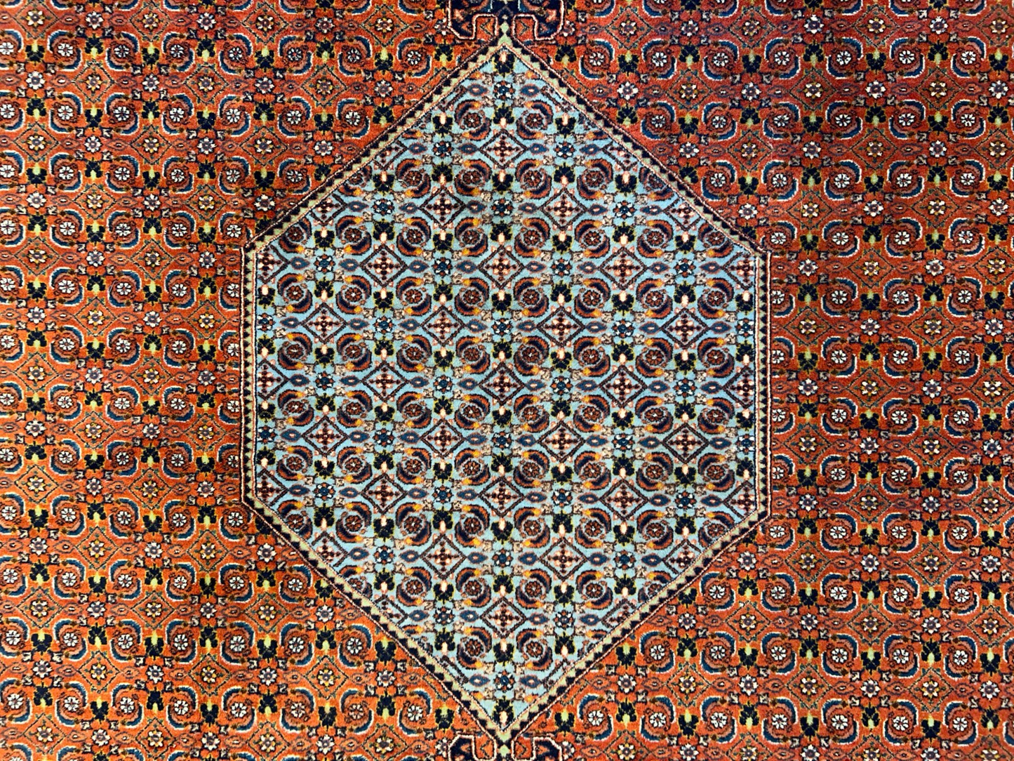 8'6"x12' Hand-Knotted 100% Wool Pile IndoBijar Rug